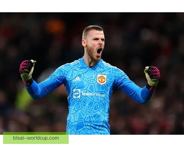 佛罗伦萨德赫亚所罗门缺席原因